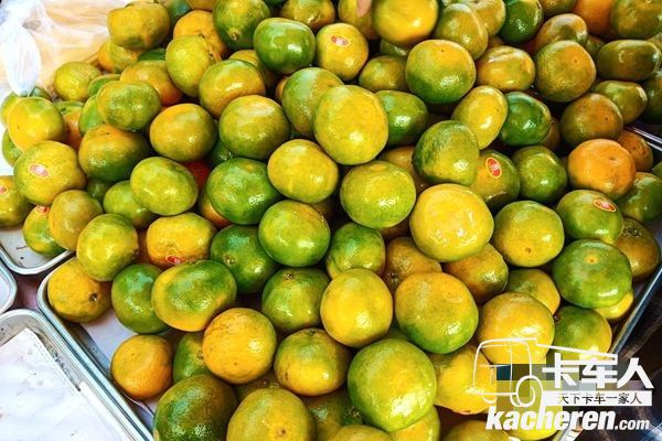 福田祥菱杨姐一年四季卖各类水果，有蜜桔，枣子，葡萄，哈密瓜，苹果等等